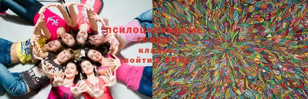 прущие крисы Алексин