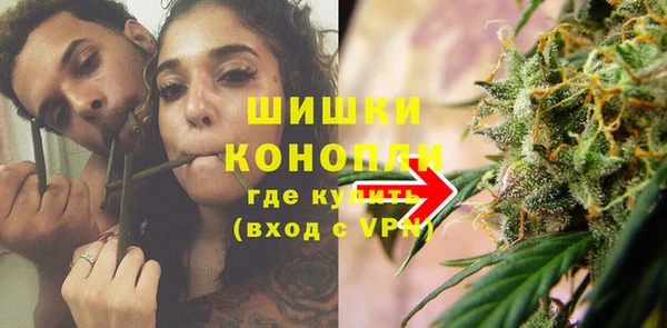 индика Покровск