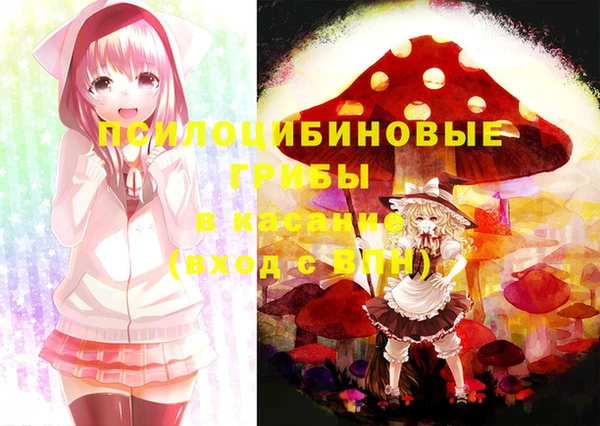 прущие крисы Алексин