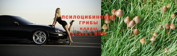 СК Алзамай