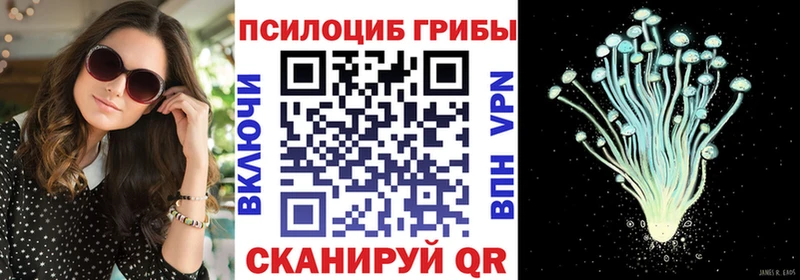 Галлюциногенные грибы Cubensis  где купить наркоту  Липки 